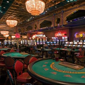 488bet app